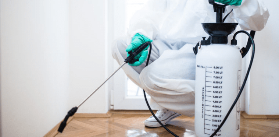 5 Reasons to Consider Hiring Pest Control Service for Home Safety
